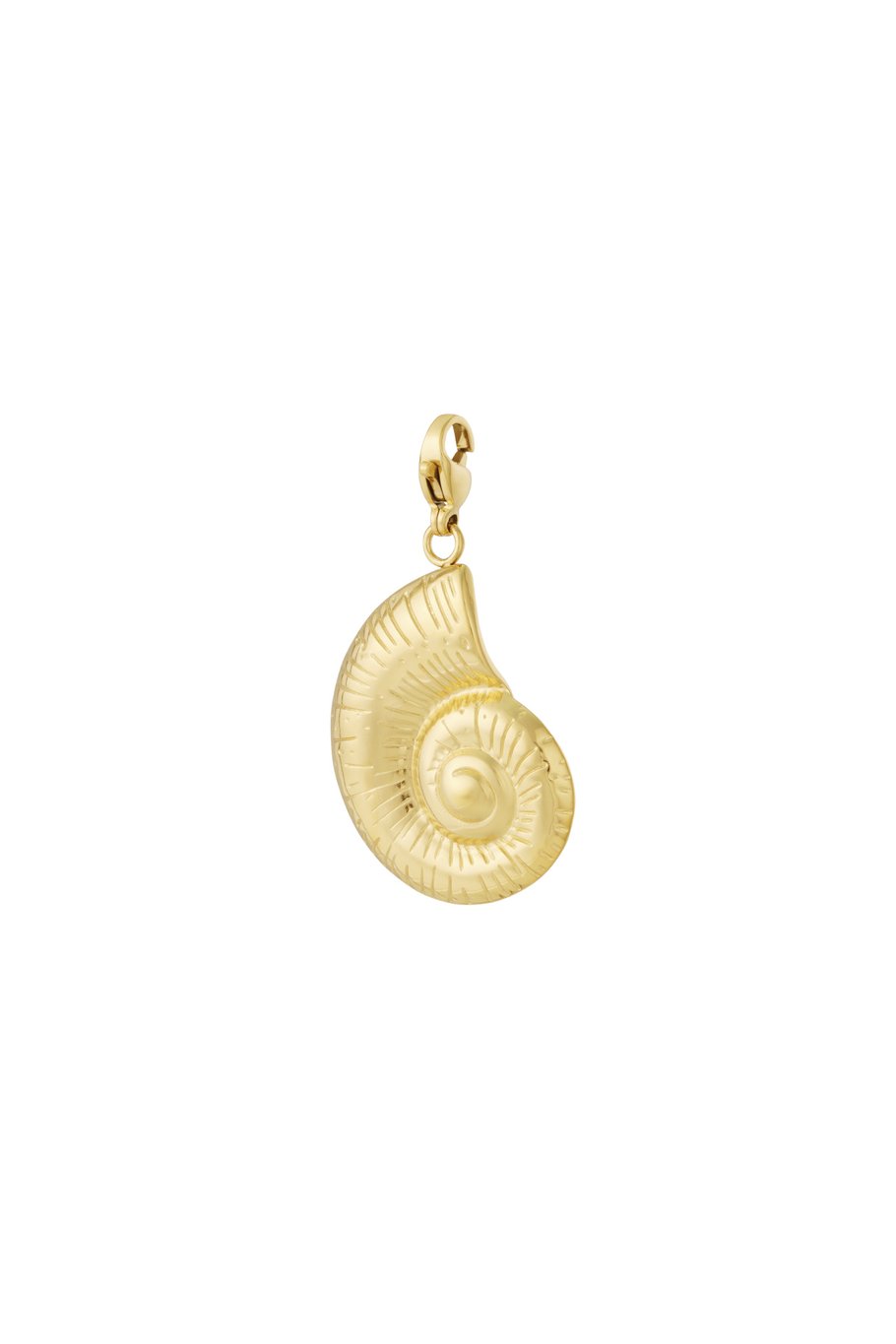 Muschel Schmuck Charm 