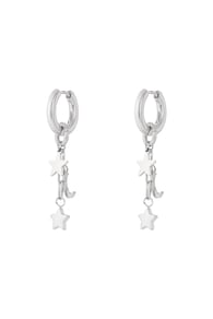 silver color Image2
