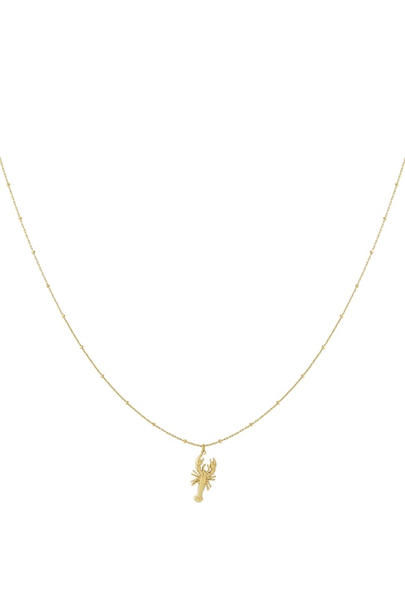 Collares colgantes de acero 304S. Animal Casual Diario 2