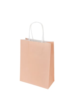 Bags plain 50 pieces small - pink Paper h5 