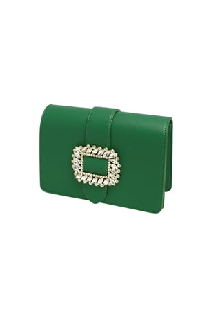 Bag buckle classy - green h5 