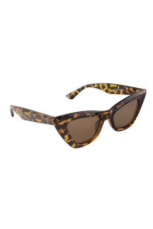 Sunglasses cat eye trendy - brown h5 