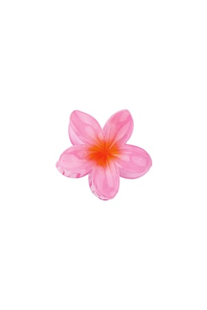 Hair clip Hawaiian dream - pink h5 