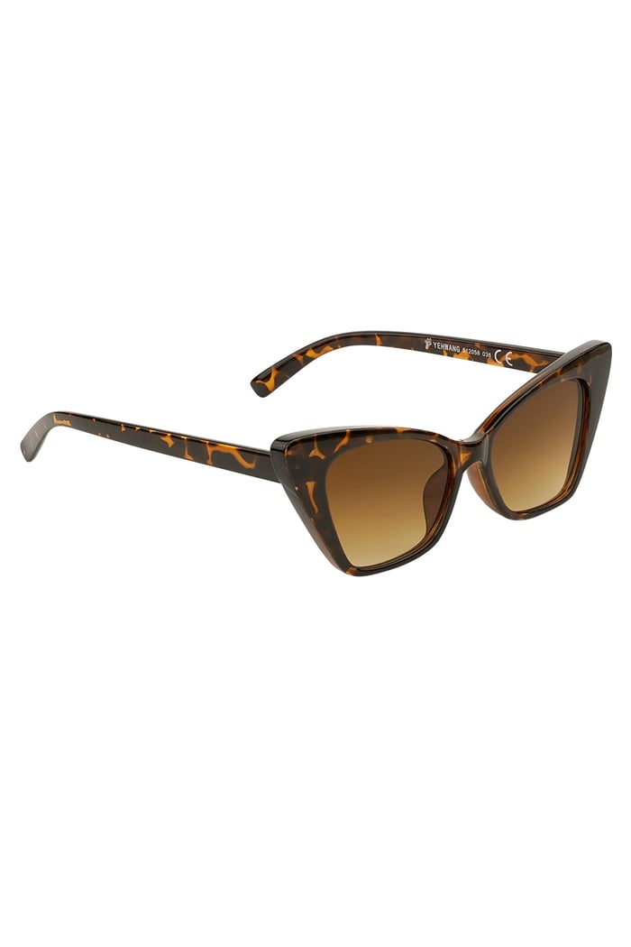 Sunglasses single color frame - brown 