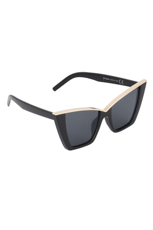 Schicke Sonnenbrille - schwarz h5 