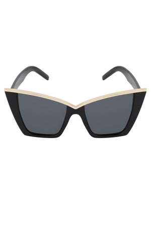 Chic sunglasses - black h5 Picture4