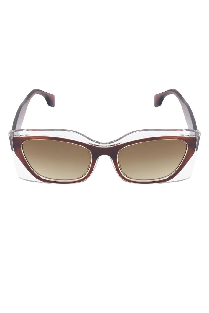 Double frame sunglasses - brown  Picture4