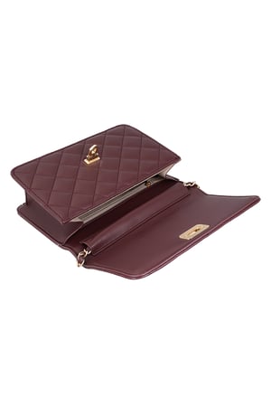 Classy babe bag - Wine red h5 Picture5