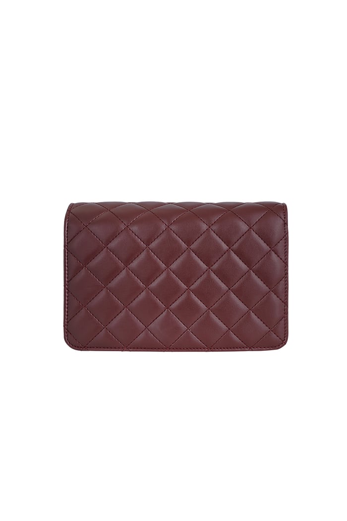 Classy babe bag - Wine red Picture3