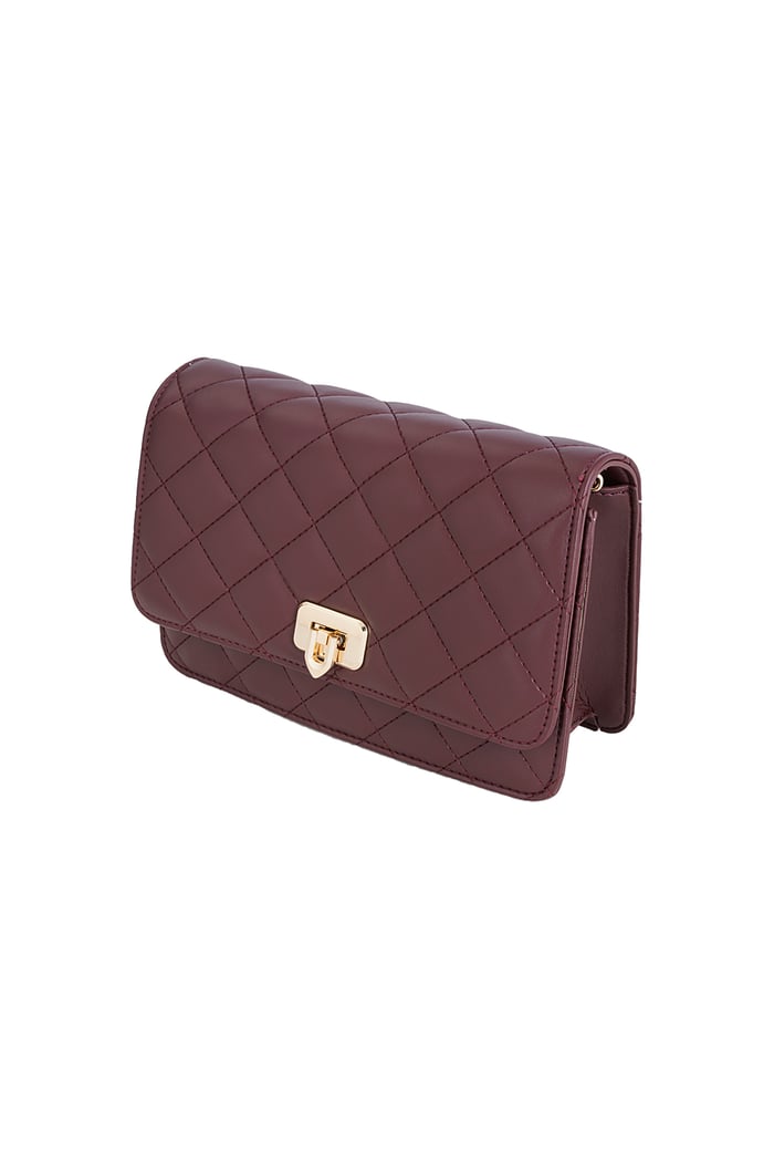 Classy babe bag - Wine red Picture2