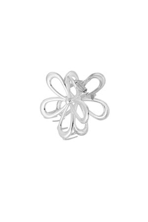 Hair clip flower power - Silver Color color h5 Picture3