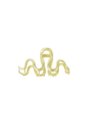 Hair clip swirly snake - Gold color h5 