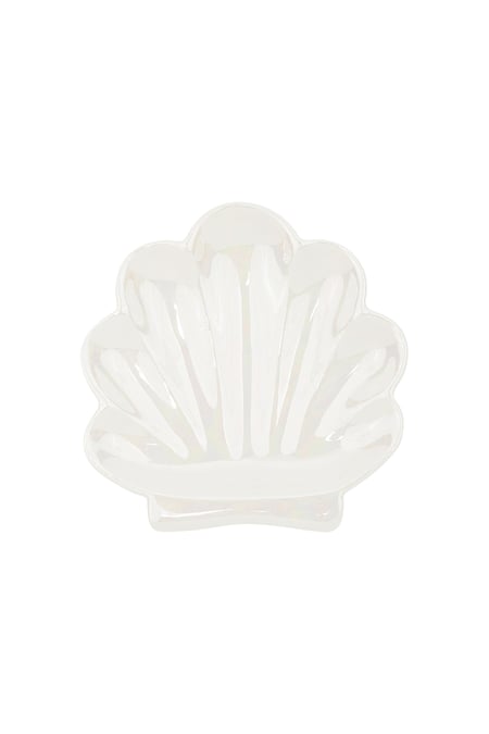 Glass display shell perfection - White