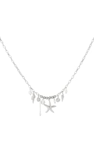 silver color Picture2