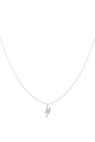 silver color Resim2