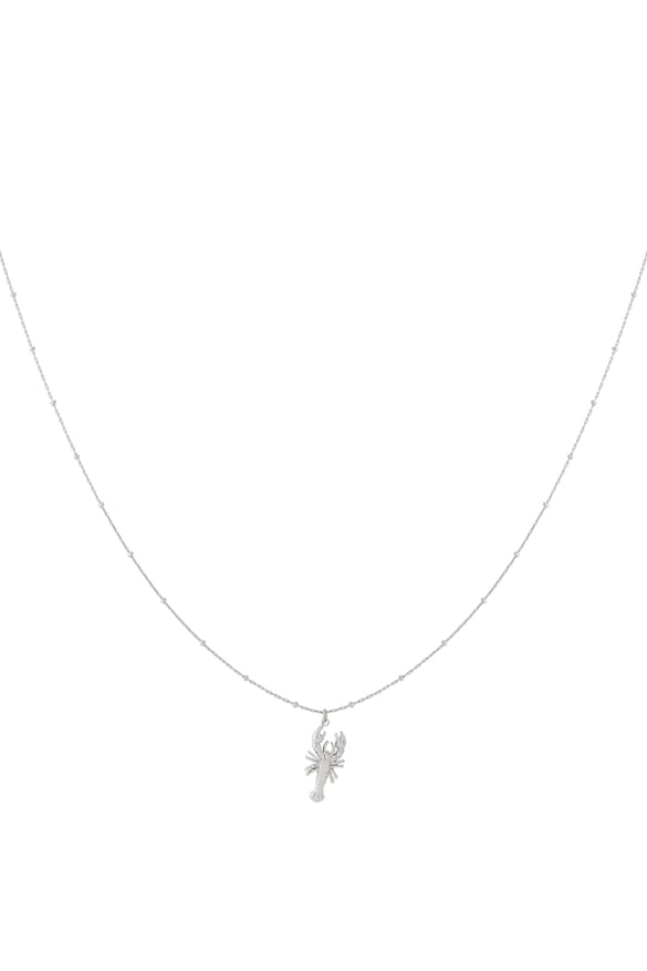 Collares colgantes de acero 304S. Animal Casual Diario