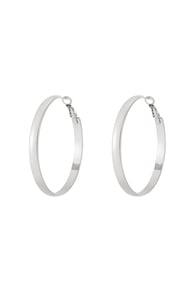 silver color Immagine2