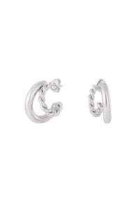 silver color Immagine2