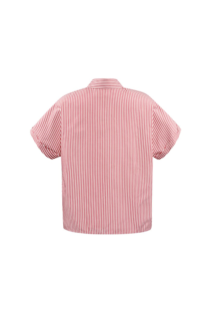 Striped blouse with short sleeves - red  Picture7