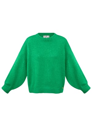 Sweater cozy - green h5 