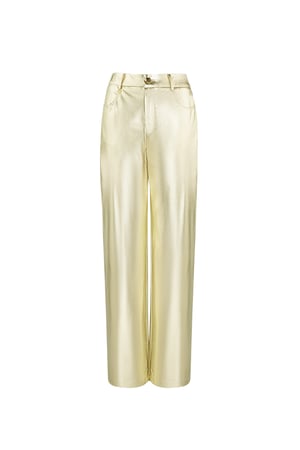 Metallische Hose – Goldfarbe - Goldfarbefarbe h5 