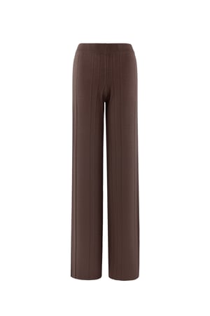 Soft Harmony pants - brown h5 