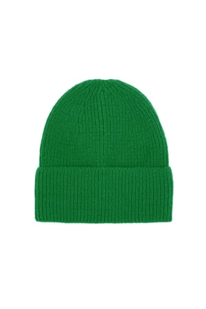 Everyday beanie - green h5 