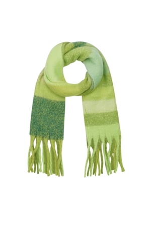 Elegant Embrace scarf - green h5 