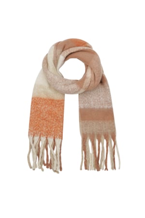 Elegant Embrace scarf - brown h5 