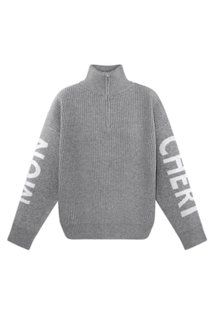 Mon Cheri sweater - grey h5 