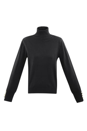 Tender Touch turtleneck - black h5 