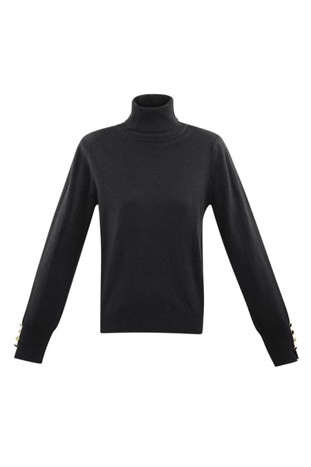 Tender Touch turtleneck - black 2