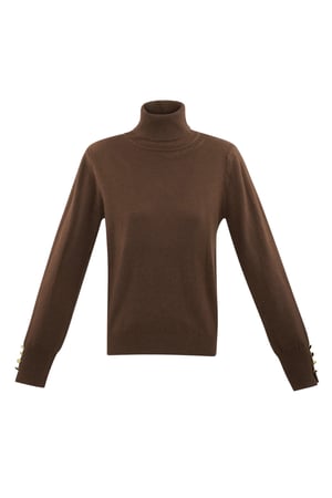 Tender Touch Rollkragenpullover - braun h5 