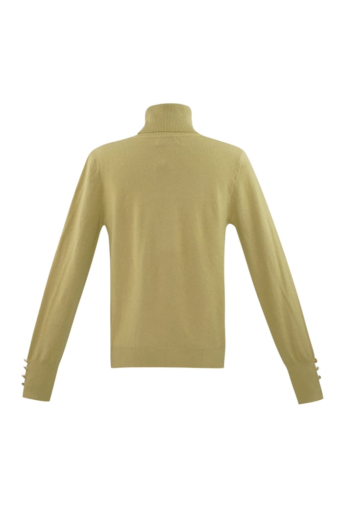 Tender Touch turtleneck - camel Picture7