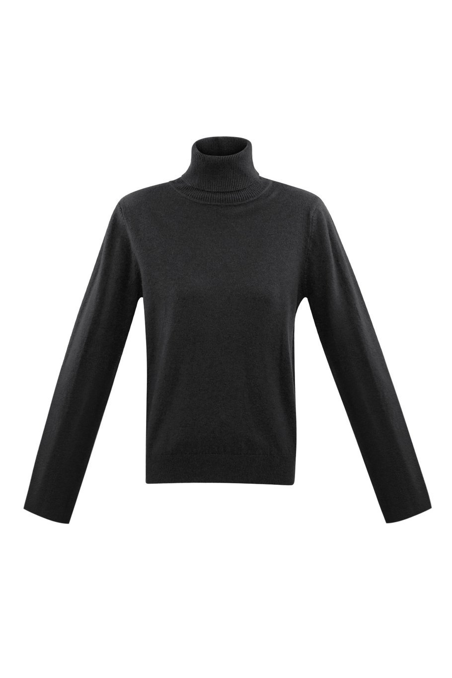 Honeydew turtleneck - olive