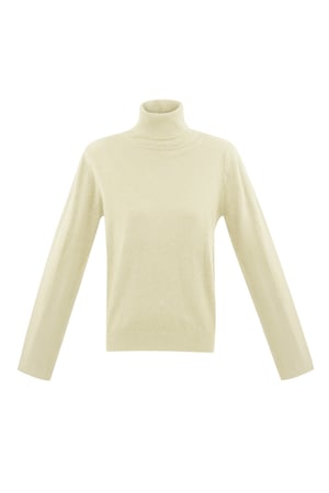 Honeydew turtleneck - off-white h5 