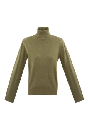 Honeydew turtleneck - olive h5 