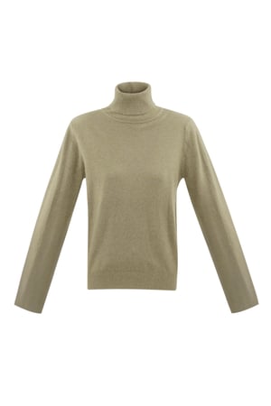 Honeydew turtleneck - camel h5 