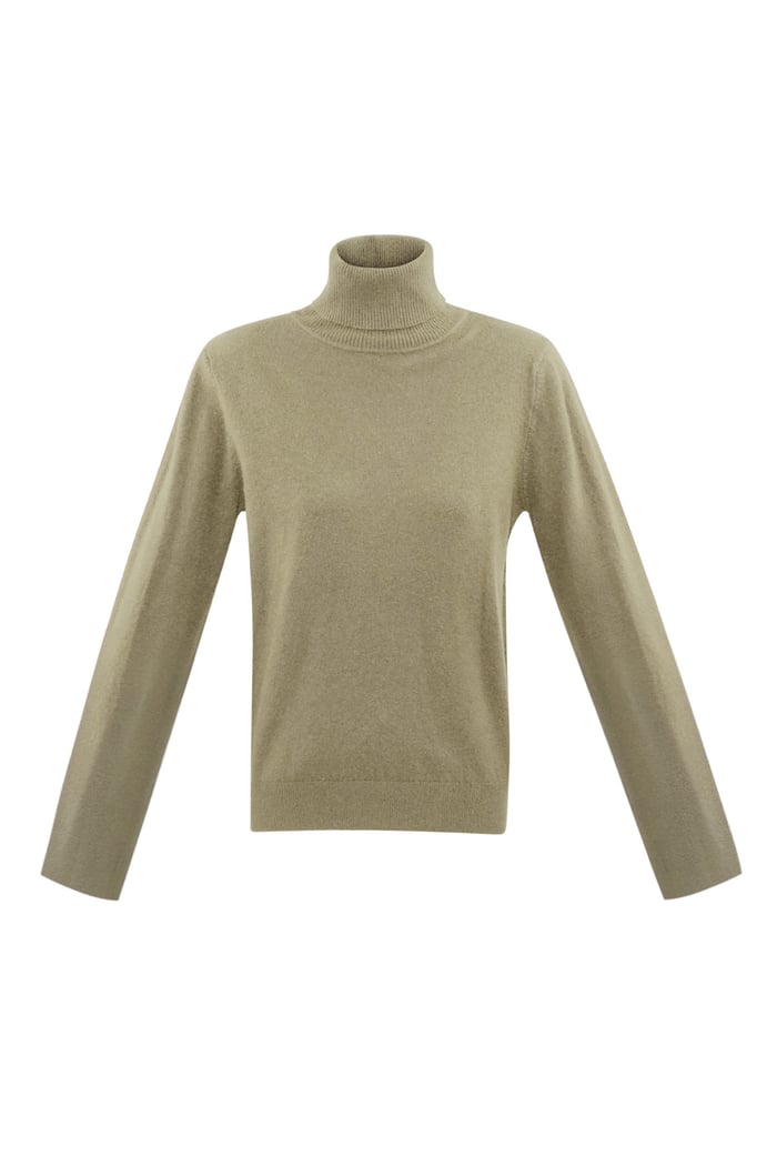 Honeydew turtleneck - camel 