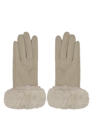 Refined grace gloves - beige h5 