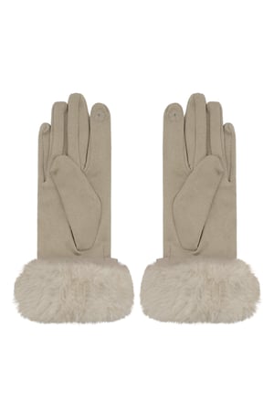 Refined grace gloves - beige h5 Picture3