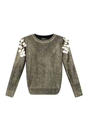 Sequin Sparkle sweater - black & Gold color h5 