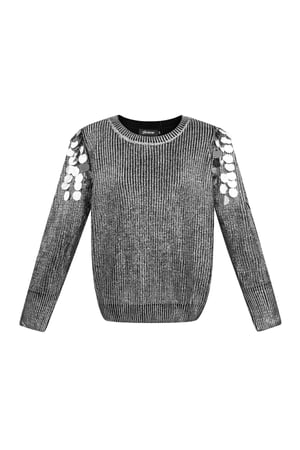 Sequin Sparkle sweater - black & Silver color h5 