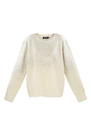 Glitz and Glow Pullover - Silberfarbe h5 