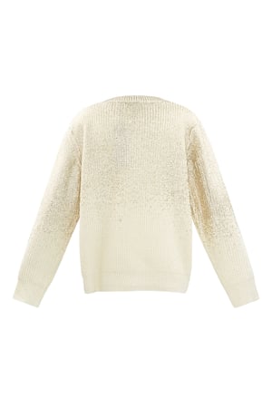 Glitz and Glow sweater - Silver Color color h5 Picture7