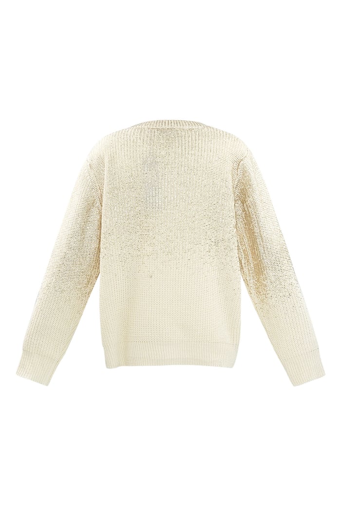 Glitz and Glow sweater - Silver Color color Picture7