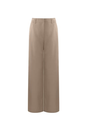 The Perfect Pants - beige h5 