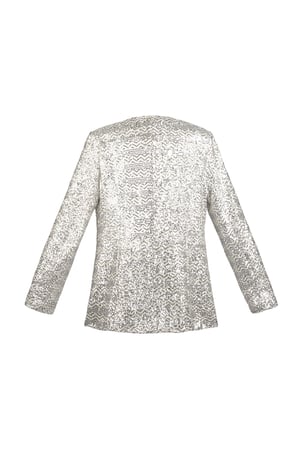 Glitter blazer - Silver Color color h5 Picture7