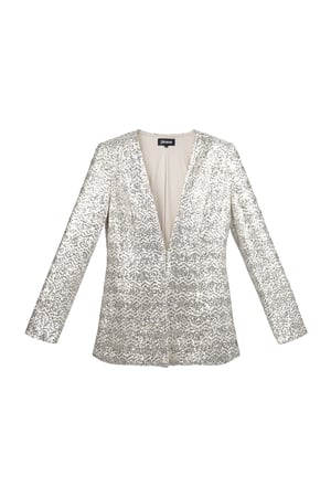 Glitter blazer - Silver Color color h5 