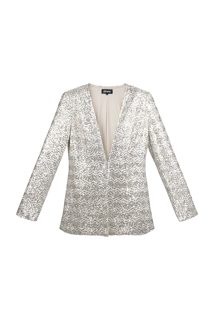 Glitter blazer - Silver Color color 